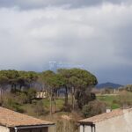 Lloguer pis amb terrat al Berguedà-vistes arbres-206lp