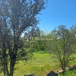 Immoble al Berguedà-límit terreny-Buscallà immobiliària-251vc