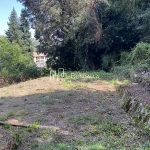 Berguedà: venda terreny rústic amb barraca-arbres-Buscallà Immobiliària-262vt