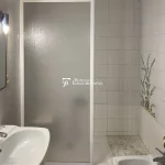 Pis de lloguer a Puig-Reig, lavabo, Buscallà