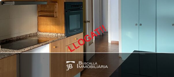 Pis de lloguer a Puig-Reig